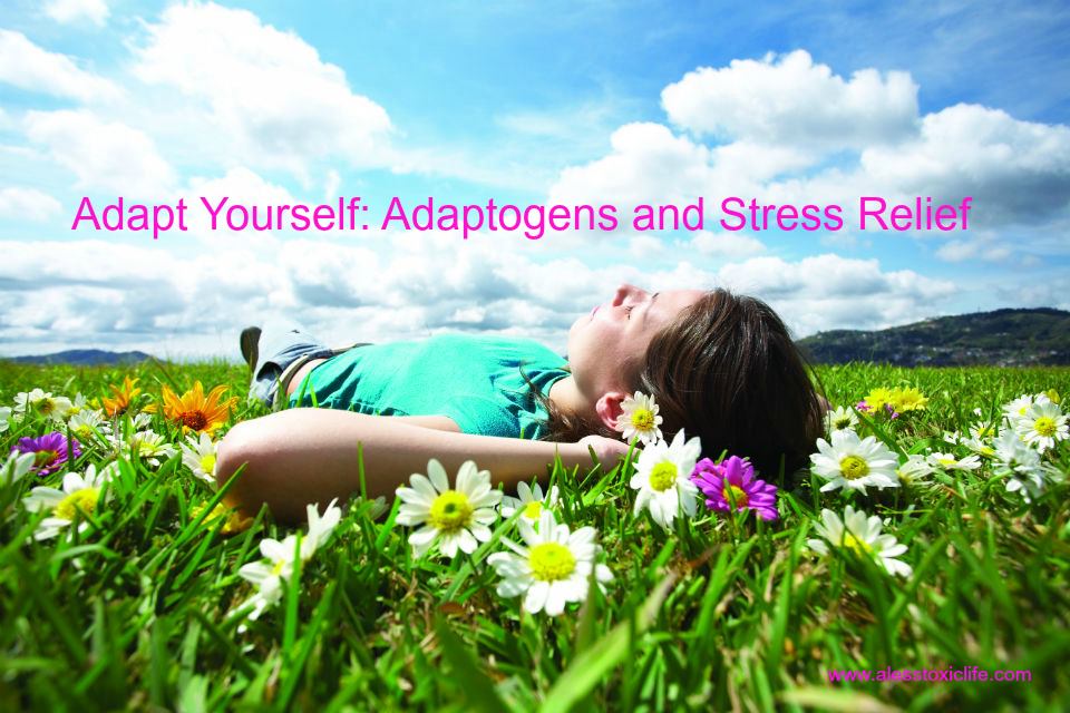 adaptogens