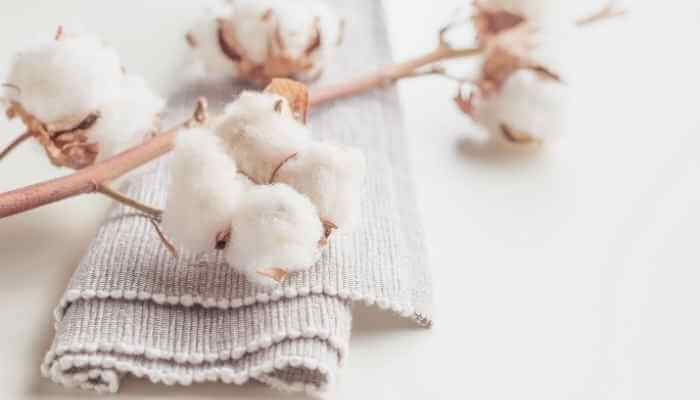 Learn the benefits of buying and using organic cotton clothing
