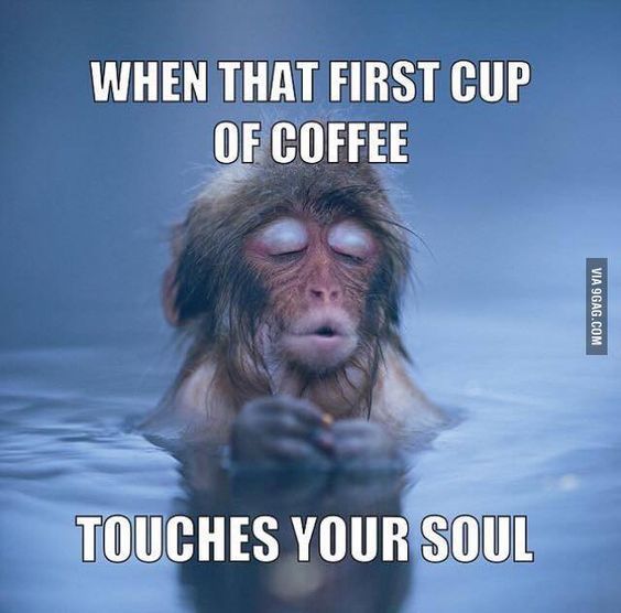 Funny Coffee Meme