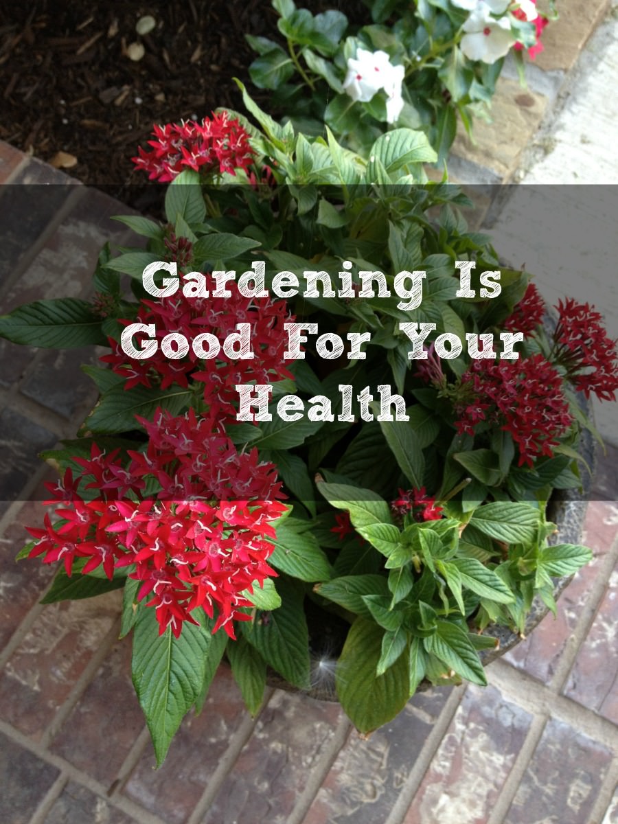 gardingingisgoodforyourhealth