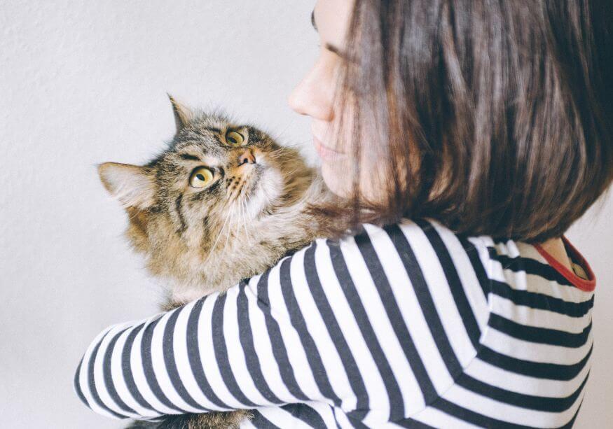 Pets are good for your health
