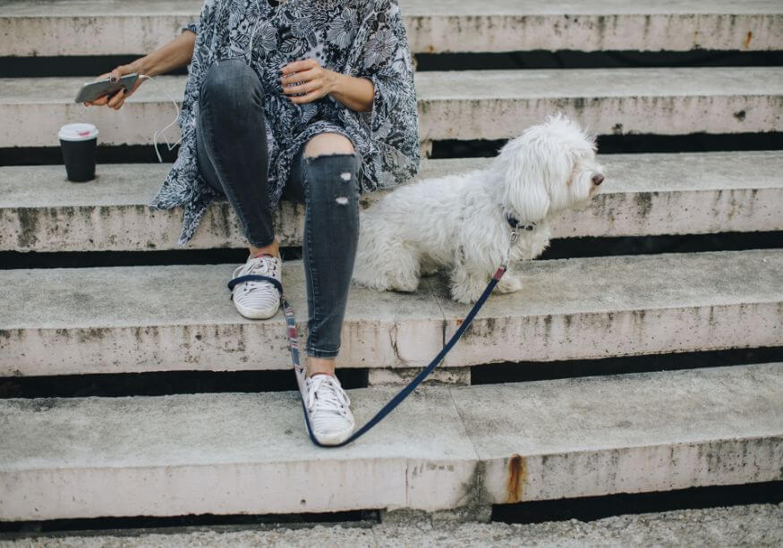 Pets for total health