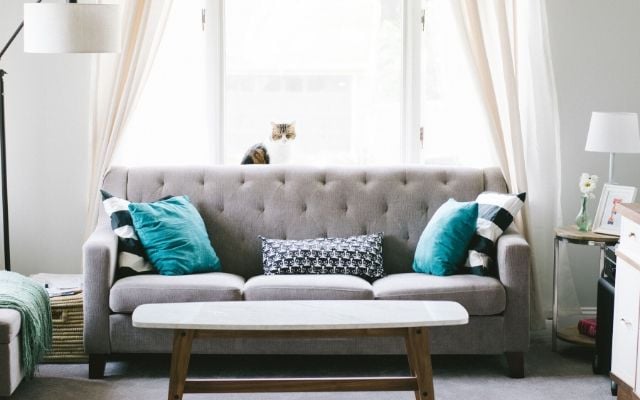 How to use diatomaceous earth in your home. What is DE