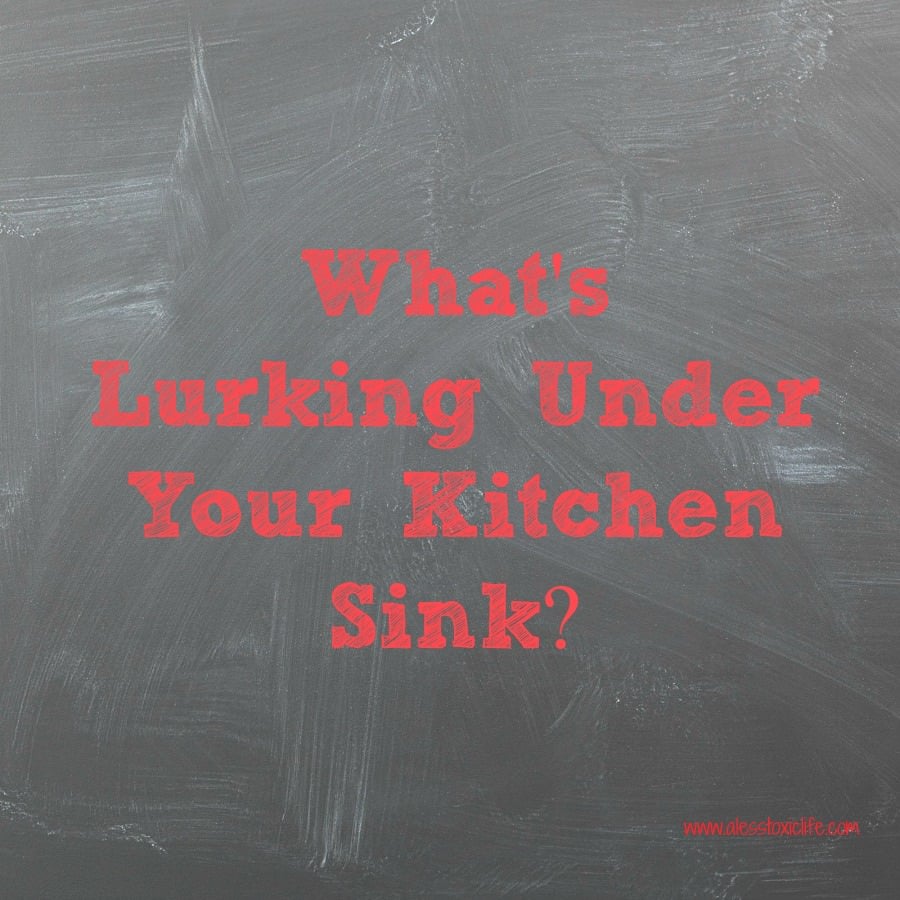What's Lurking Under Your Sink